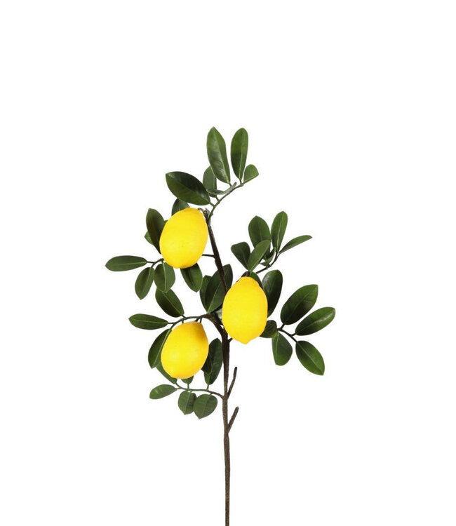 Kunstplanten Lemon 81cm ( x 1 )