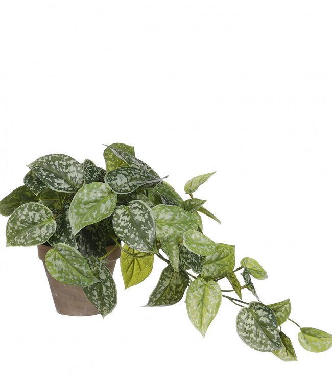 Kunstplanten Pot Epipremnum d11/17*44cm | Per 4 stuks te bestellen