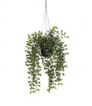 4A Kunstplanten Hang Ficus | Diameter 20 centimeter | *46cm | Per 6 stuks