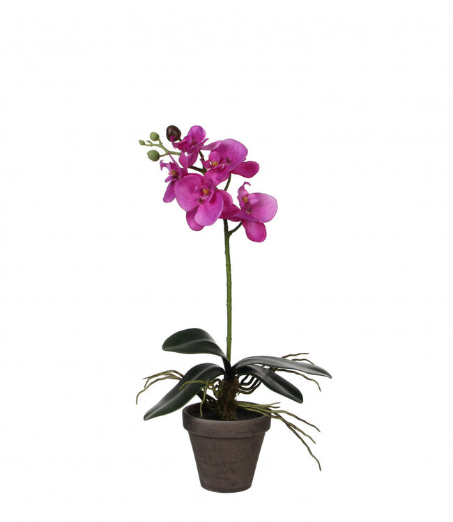 Kunstplanten Pot Phalaenopsis d11/13*48cm ( x 6 )