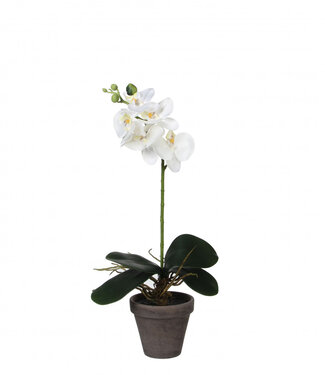 4A Kunstplanten Pot Phalaenopsis | Diameter 11 centimeter |/13*48cm | Per 6 stuks