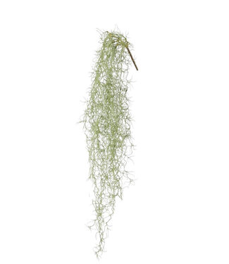 4A Kunstplanten Tillandsia usneoides 86cm ( x 1 )