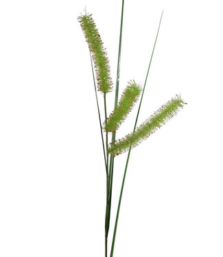 4A Kunstplanten Carex Long Spiculate 132cm | Per 6 stuks