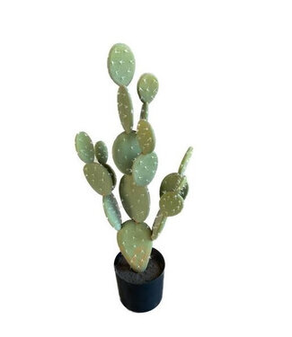 4A Kunstplanten Pot Cactus d18*71cm ( x 1 )