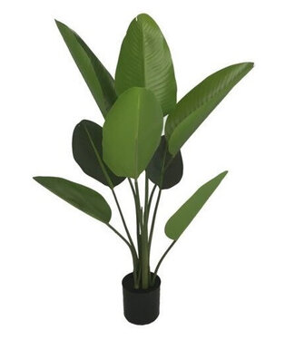 4A Kunstplanten Pot Strelitzia d75*120cm ( x 1 )