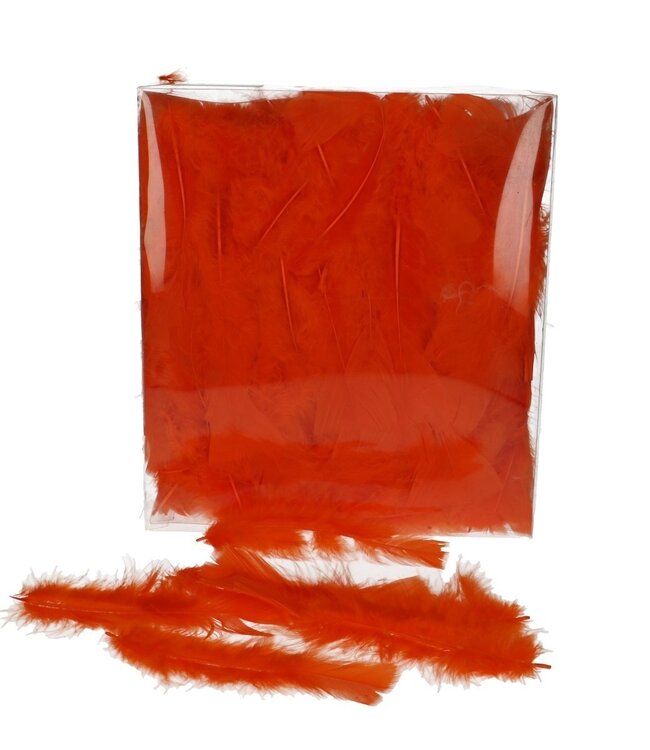 Orange feathers turkey feathers | Weight 45 grams | Order per pack