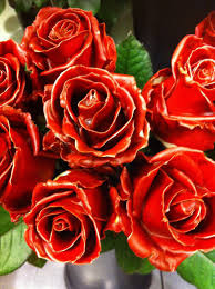 Commandez des roses en cire en ligne sur la boutique de fleurs en ligne MyFlowers.shop