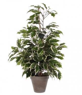 4A Kunstplanten Pot Ficus exotica d13/60*65cm ( x 6 )