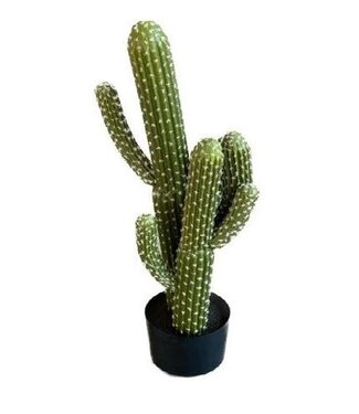 4A Kunstplanten Pot Cactus | Diameter 35 centimeter | Hoogte 83 centimeter | Per stuk