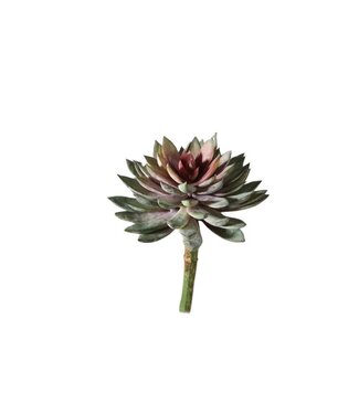 4A Kunstplanten Succulent 20cm  | Per stuk