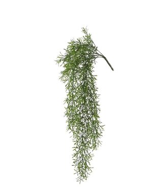 4A Kunstplanten Asparagus 81cm  | Per stuk