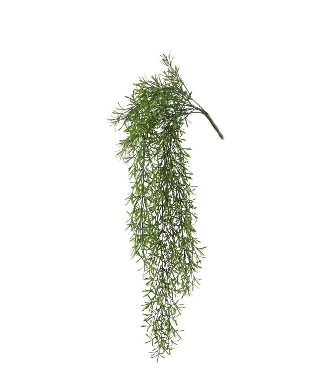 Kunstplanten Asparagus 81cm | Per stuk te bestellen