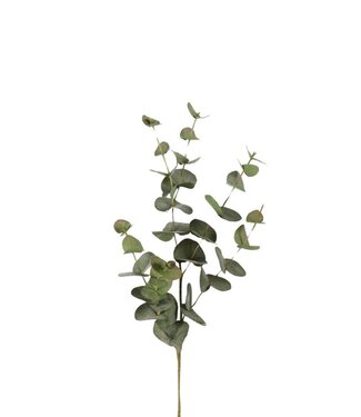 4A Kunstplanten Eucalypthus 87cm | Per 2 stuks