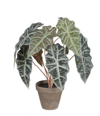 4A Groene kunstplant pot Alocasia | Min. diameter 13 centimeter max. diameter 36 centimeter | Hoogte 44 centimeter | Per 6 stuks