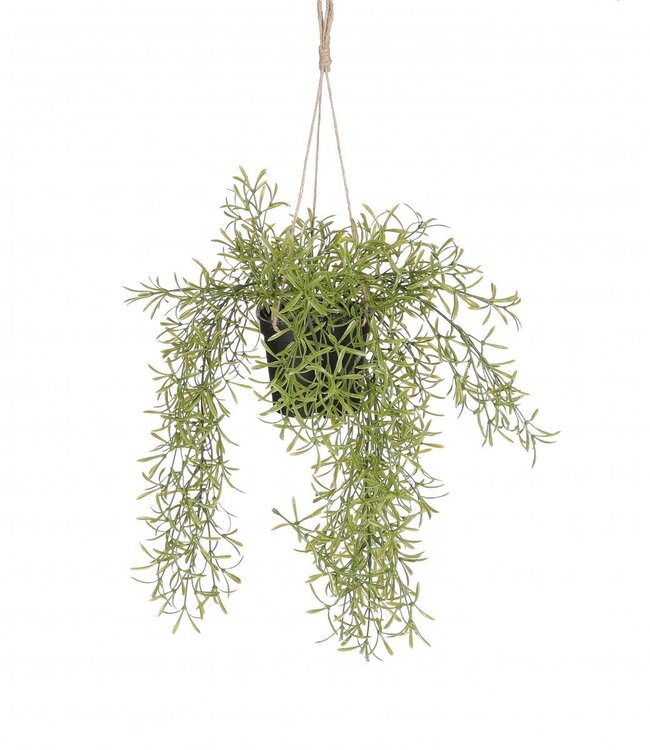 Kunstplanten Hang Rhipsalis d20*40cm | Per 6 stuks te bestellen