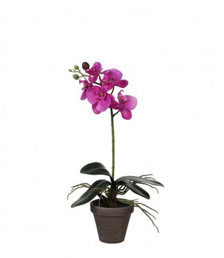 4A Kunstplanten Pot Phalaenopsis | Diameter 11 centimeter |/13*48cm | Per 6 stuks