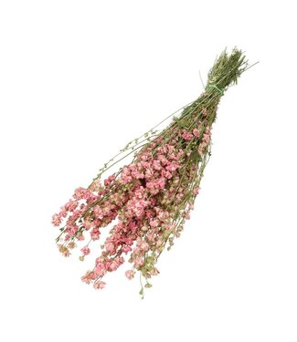 4A Roze gedroogd Ridderspoor | Delphinium droogbloemen | Lengte 60 centimeter | Per bos