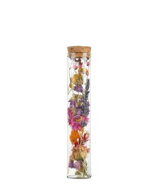 ME Dry Flowers-Wish Bottle Medium 15cm-Multi | Per 6 pieces