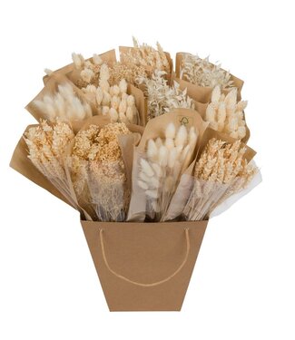 ME Droogbloemen-Dried Mono Mix 50cm-White | Per 12 stuks