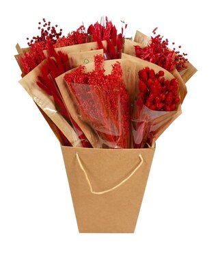 ME Droogbloemen-Dried Mono Mix 50cm-Red | Per 12 stuks