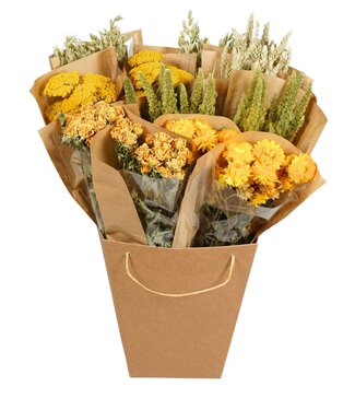 ME Droogbloemen-Dried Mono Mix 50cm-Yellow | Per 12 stuks