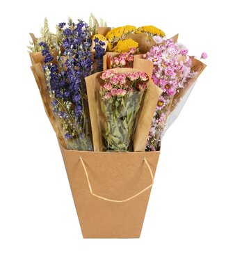 ME Dry flowers-Dried Mono Mix 50cm-Dutch | Per 12 pieces