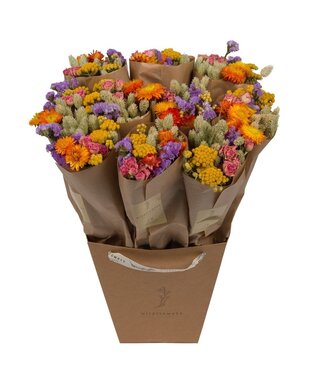 ME Droogbloemen-Market More 50cm - Multi | Per 10 stuks