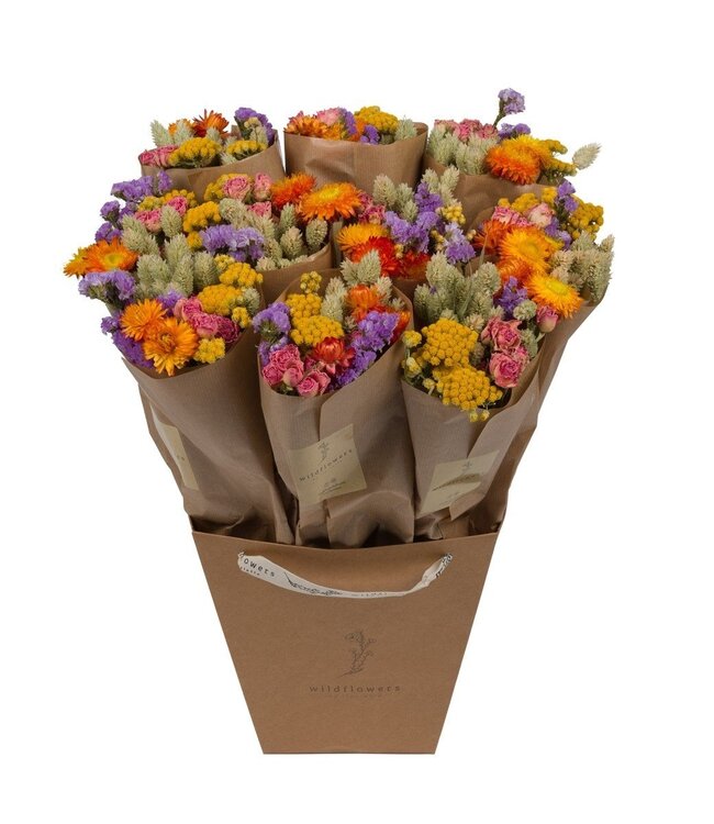 Droogbloemen-Market More 50cm - Multi | Per 10 stuks