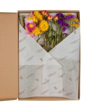 ME Trockenblumen-Blumen im Briefkasten 30cm-Multi | Pro 5 Stück