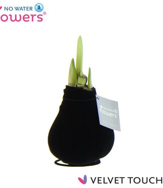 ME No Water Flowers Velvet Touchz® Black | Per 6 stuks