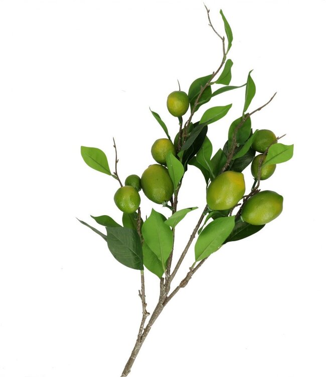 Kunstplanten Lemon 90cm ( x 1 )