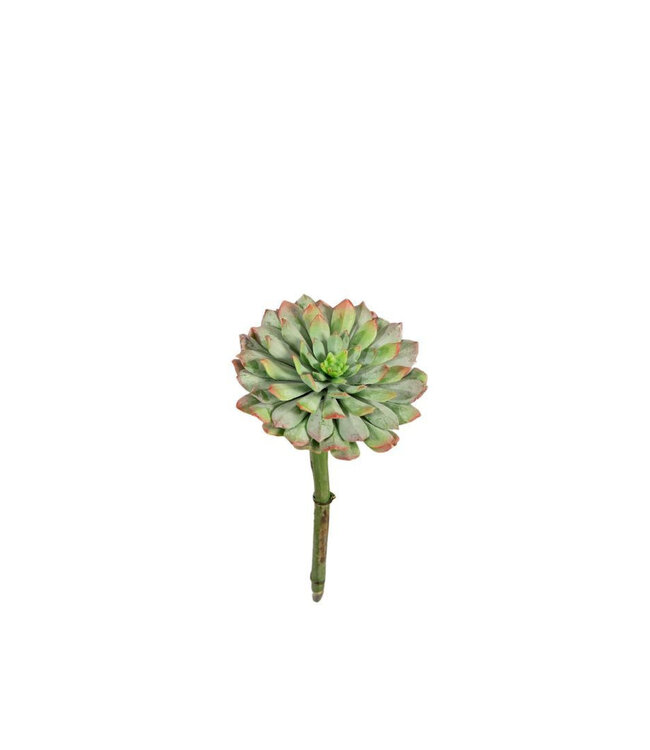 Kunstplanten Succulent 20cm | Per stuk te bestellen