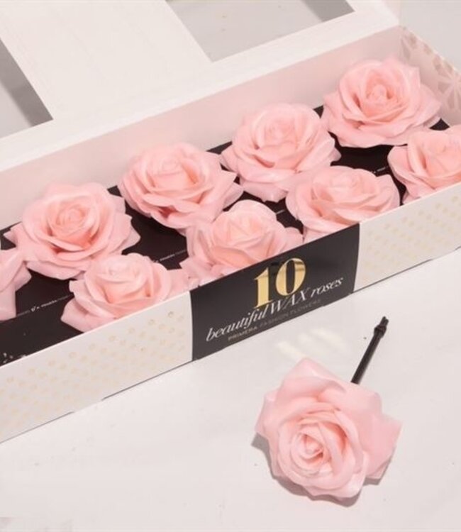 Apricot coloured silk wax roses Oceana | 10 pieces per box | Order per box