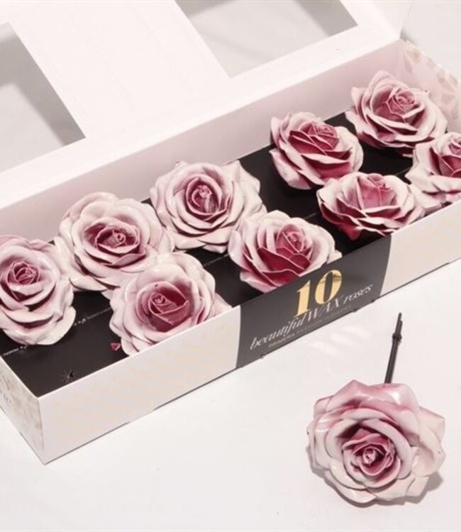 White pink silk wax roses Plate Blush | 10 pieces per box | Order per box