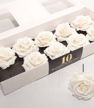 AD Soft white silk wax roses | Per 10 pieces