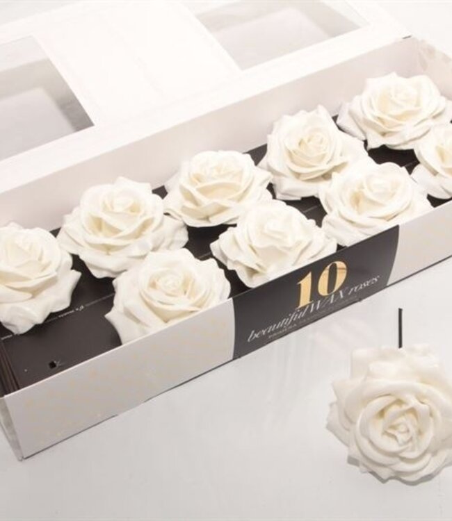 Soft white silk wax roses | 10 pieces per box | Order per box