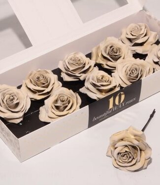 AD Crystal gold silk wax roses | Per 10 pieces