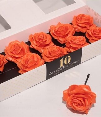 AD Orange silk wax roses | Per 10 pieces