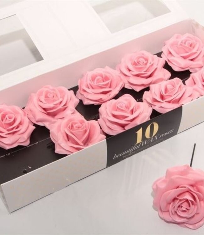 Light pink silk wax roses | 10 pieces per box | Order per box