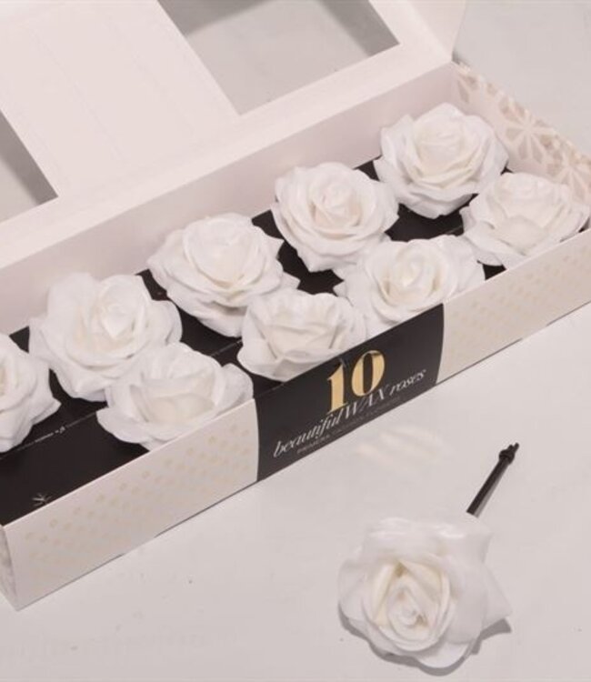 White silk wax roses | 10 pieces per box | Order per box