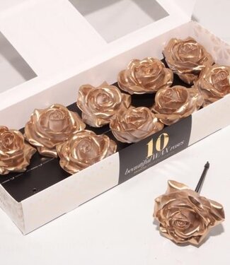 AD Gold coloured silk wax roses White Blush | Per 10 pieces