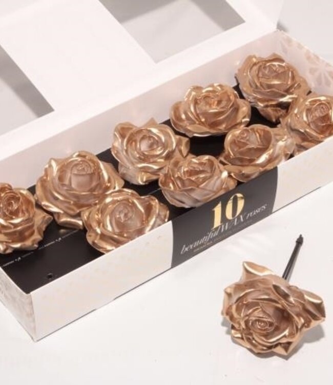 Gold coloured silk wax roses White Blush | 10 pieces per box | Order per box