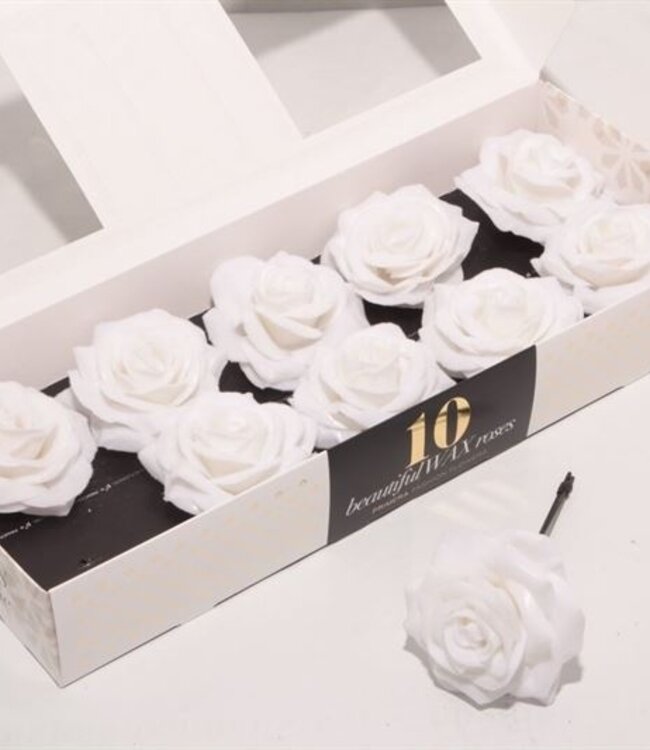 Snow white silk wax roses | 10 pieces per box | Order per box