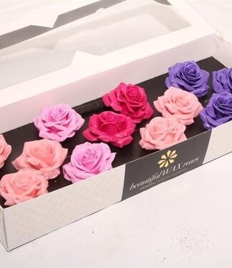 AD Mixed colours silk wax roses Moods Dream mix | Size M | Per 12 pieces