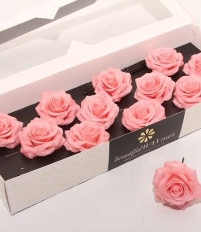 Apricot coloured silk wax roses | Size M | 12 pieces per box | Order per box