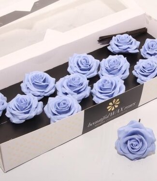 AD Blue denim silk wax roses | Size M | Per 12 pieces