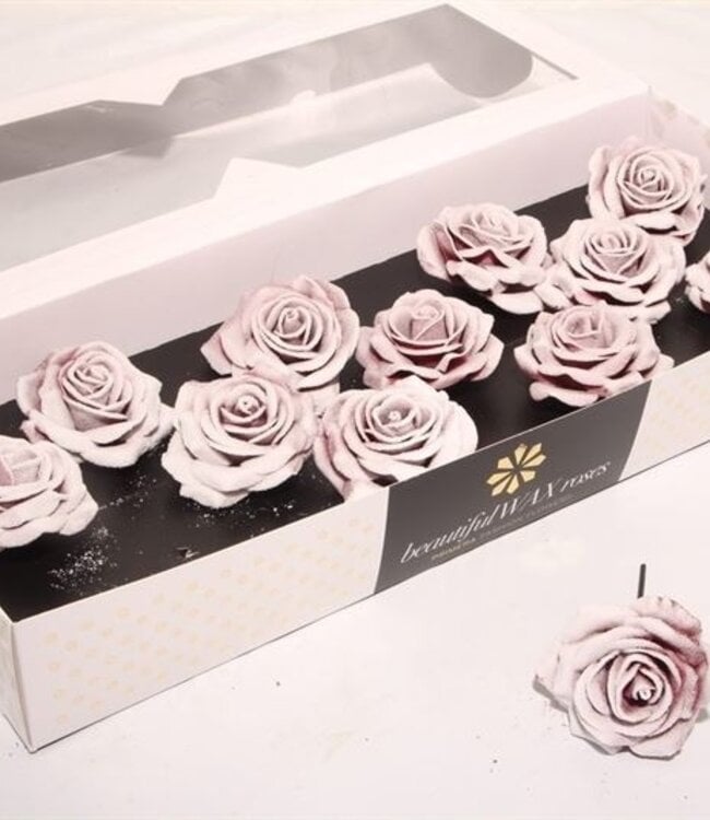 White pink silk wax roses Plate Blush | Size M | 12 pieces per box | Order per box