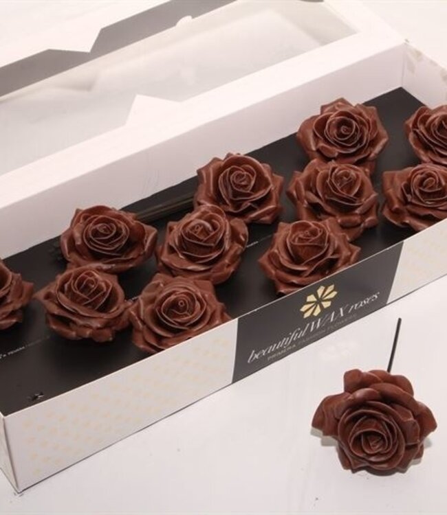 Chocolate-coloured silk wax roses | Size M | 12 pieces per box | Order per box