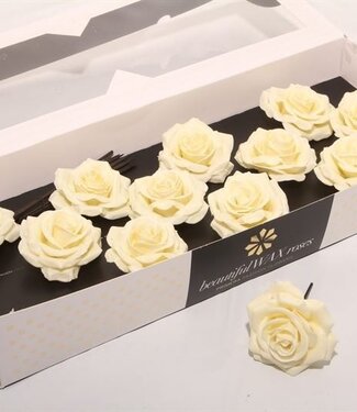 AD Cream-coloured silk wax roses | Size M | Per 12 pieces