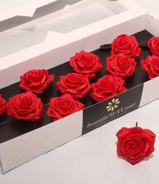 AD Ferrari red silk wax roses | Size M | Per 12 pieces